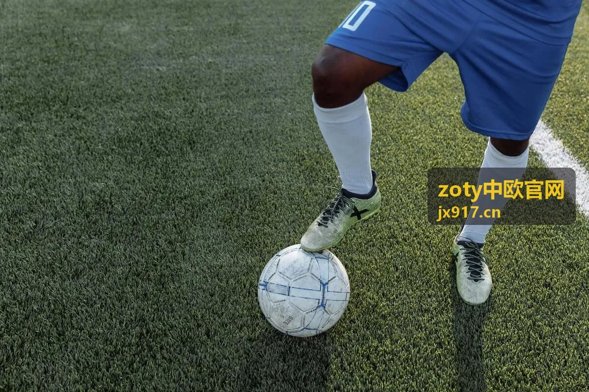 zoty中欧官网小家电欧盟认证与商标案例